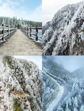 명월산의 눈꽃, 저렴한 소비, 느린 속도, 원단절 여행에 적합