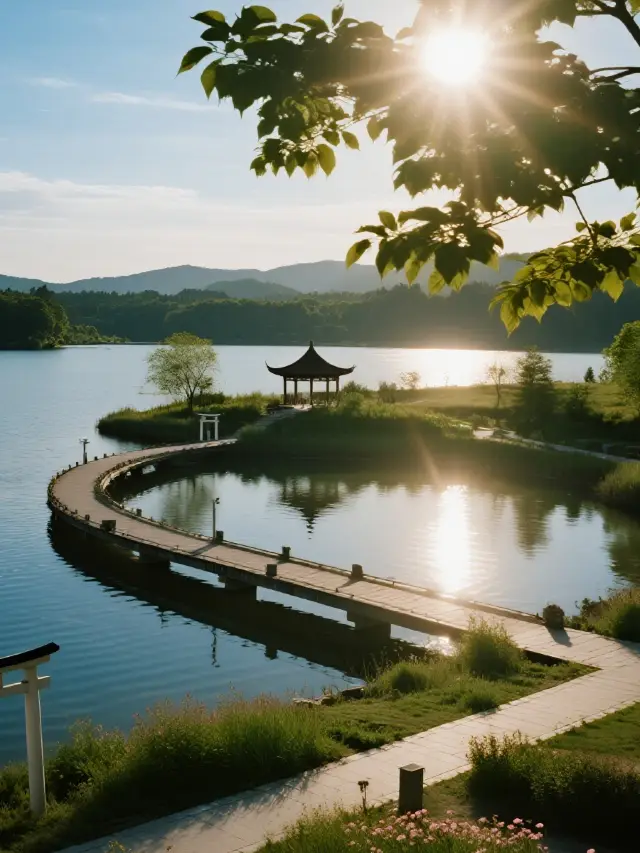 Hidden Gem Wetland Park Revealed! Birdwatching + Cycling + Camping, The Ultimate Winter Sunshine Spot for Kids 