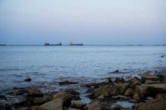 免費且24h開放!上海小眾江景公園,騎行觀鳥太絕了