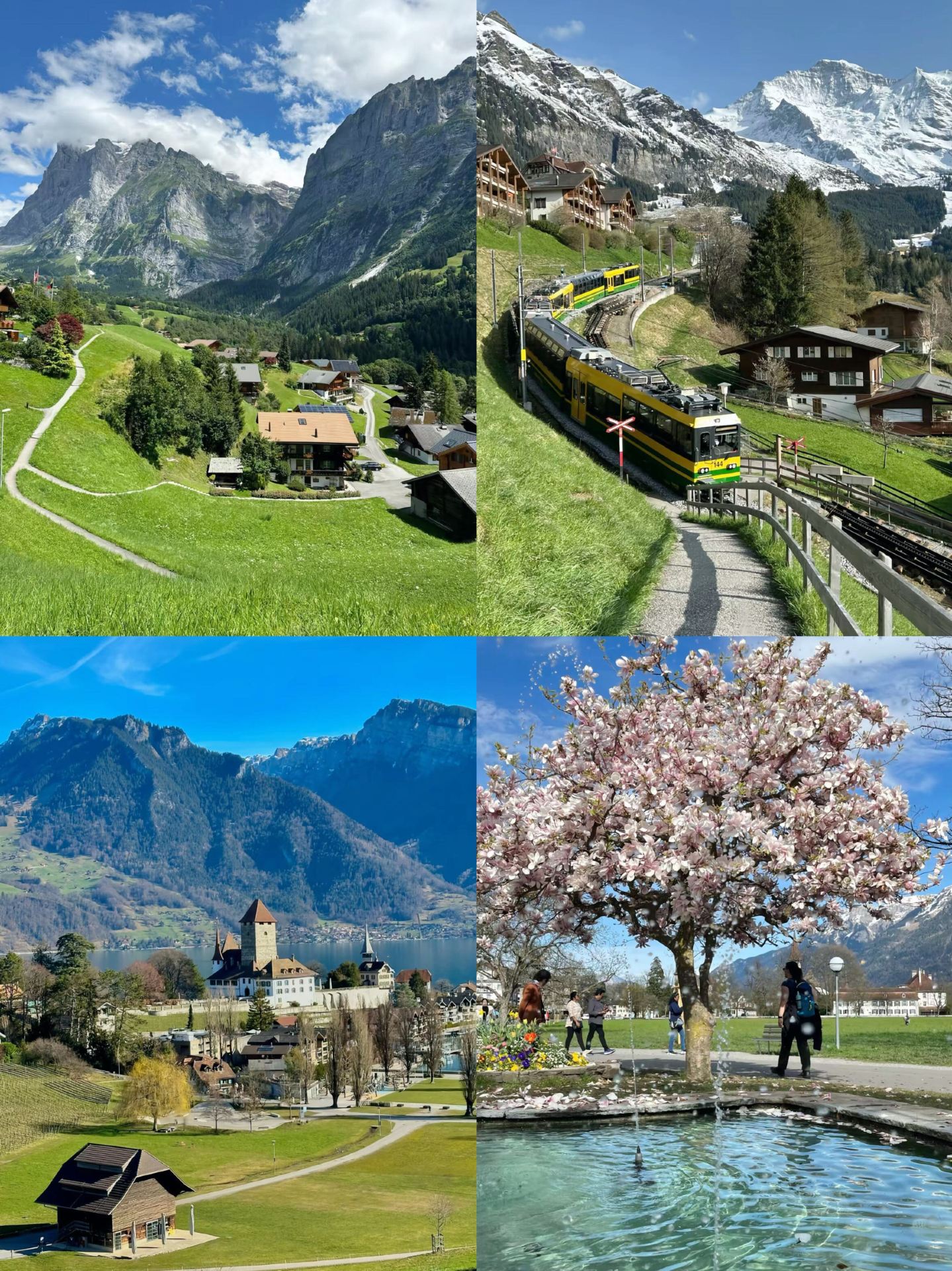 Tour Thụy Sĩ 7 ngày khám phá toàn diện | Lịch trình cổ điển + Mẹo tiết kiệm chi phí