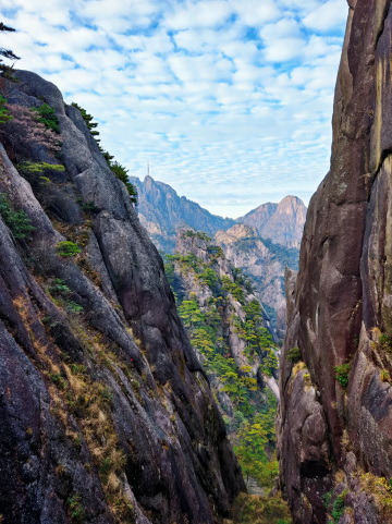 黄山：そびえ立つ奇峰と幻想的な雲海 | Trip.com 黄山