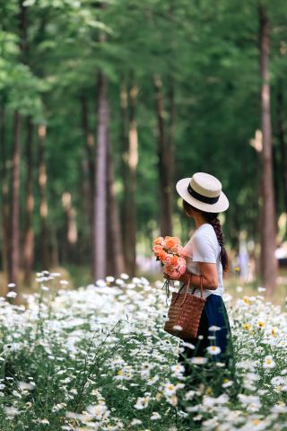 この花が海のように咲き誇り、とても癒される