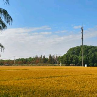  。今回の旅ではシドニー、漳州、ブルーマウンテンズ、西帰浦（ソギポ）市、カトゥーンバを巡り、どこに行っても驚きの連続でした！「ブルーマウンテンズ（藍山）」という名前がまるで魔法の糸のように、オーストラリア、ニュージーランド、中国、韓国の美しい山と森の景色を繋いでくれました🦋ブルーマウンテンズ国立公園の壮大な渓谷を歩き、漳州の十里藍山で静かな自然の中で花を楽しみ、スキー場では澄んだ空気を胸いっぱいに吸い込み、さらには雲氷山の雄大さや西帰浦の海と空が溶け合う絶景を満喫。ちょうど中秋節の時期だったので月餅作りも体験し、美しい模様と焼き上がりの香ばしさで、旅がさらに温かい団欒の甘さで彩られました。