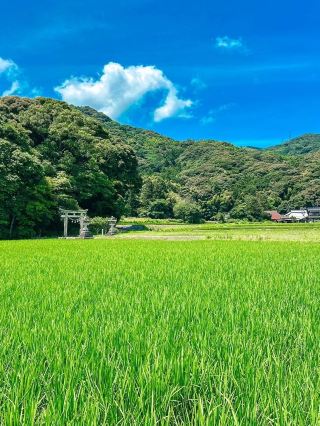7天夏天去日本攻略收好不踩雷