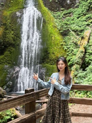 Olympic Park 2 days 2 nights guide｜Rainforest and snow mountain