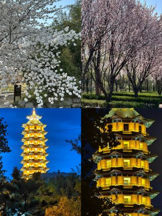 Weekend escape to Yishui 18℃ caves × starry fireflies, two days of fun you won’t want to end 