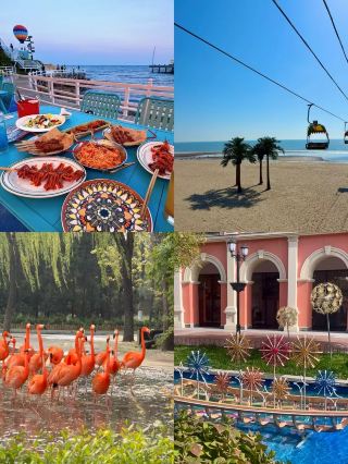 Escape Hebei! High-speed train reaches these four hidden gem cities in 1 hour