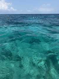 這次在攜程預訂的新加坡馬來西亞8天親子家庭之旅，整體體驗超級滿意，全程舒心又治癒，是一次完全超出預期