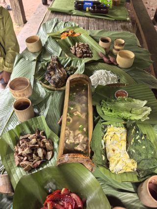Naka Rainforest hiking | The most epic day of the Banna trip