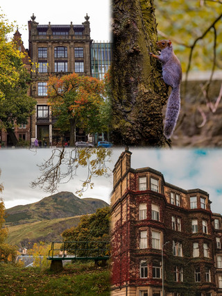 Finally stumbled upon Edinburgh's most healing autumn! It's a magical world straight out of reality, no filters needed. The entire old town is wrapped in layers of golden-red autumn leaves, the atmos