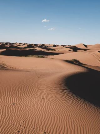 2 Days in Zhongwei, Ningxia — Desert, Noodles & Northwest China 🏜️
