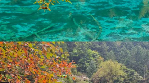 쓰촨 서부에 숨은 사파이어 호수, 가을엔 꼭 구채구에 가야 한다 — traveler post in 아바 티베트족 창족 자치주