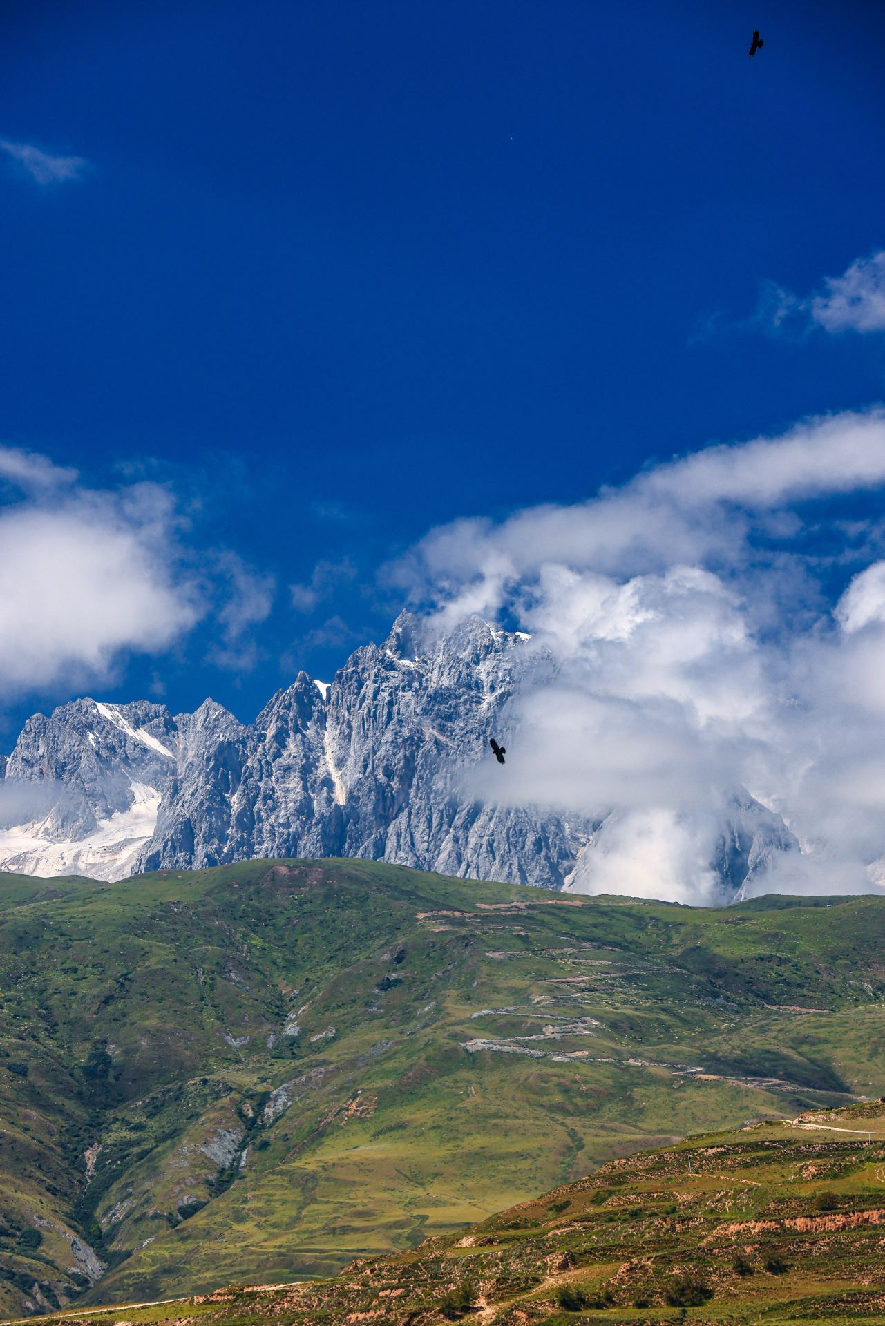 A Beacon of Faith on the Snowy Plateau: Ganzi Monastery