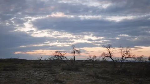 Matahari terbenam memancarkan cahaya keemasan di atas pasir perak Danau Ulungur, menciptakan pemandangan matahari terbenam di tepi danau di Gurun Gobi. — traveler post in Yumin County