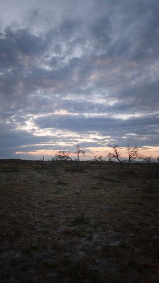 The sunset at Ulungur Lake Silver Beach is like molten gold—a twilight by the lake and sea in the Gobi Desert.