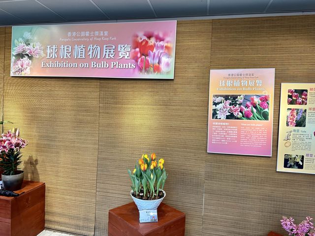 香港公園 — 球根植物展覽