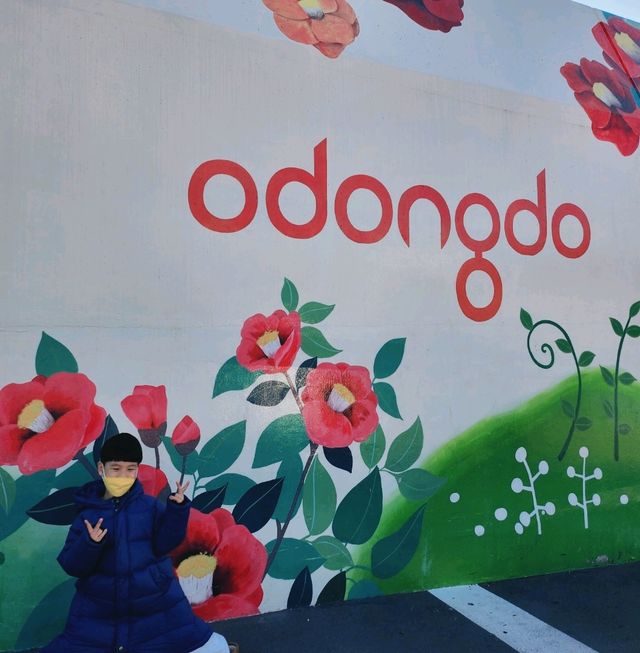 동백꽃 가득한 오동도 여행