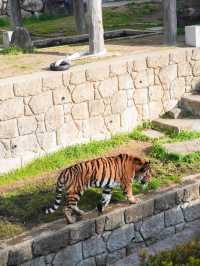 【建在市中心的古老動物園三大之一】