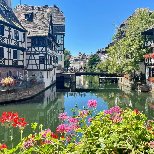 Strasbourg. . . Not to be missed! ❤️❤️❤️