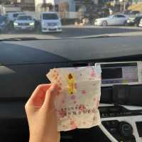 일본전통스타일을 느낄수 있는 현지인 관광지!🍵나리타 신쇼지 🇯🇵