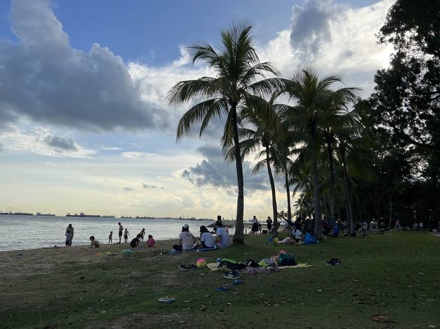 Romantic Picnic by the Beach