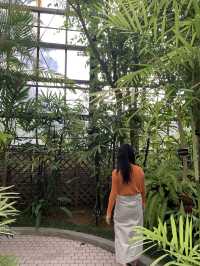 인천 피크닉하면서 선인장과 식물들 볼 수 있는 수목원 온실🌵 [인천_인천대공원수목원온실]