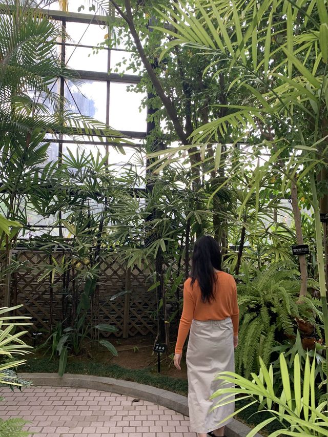 인천 피크닉하면서 선인장과 식물들 볼 수 있는 수목원 온실🌵 [인천_인천대공원수목원온실]