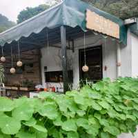 嘉道理農場暨植物園