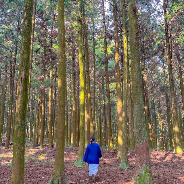 제주도 가고싶어지는 여행 코스 추천 🥰