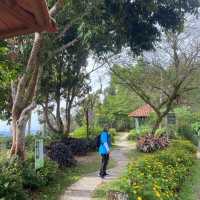 Early Morning Retreat at Penang Hill