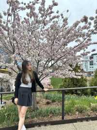 뉴욕에 새로 생긴 강변공원, 리틀 아일랜드 🏝️