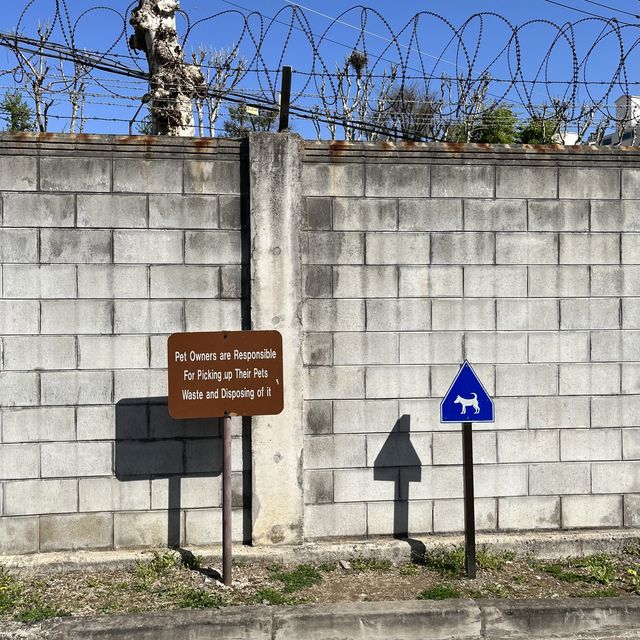 서울 외국감성 핫플! 용산 미군기지