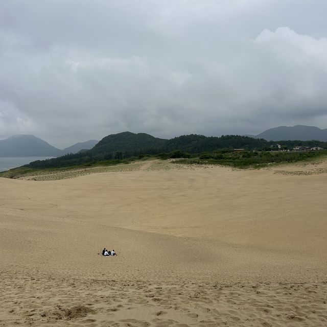 日本三大砂丘、鳥取に広がる幻想世界