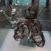特別到海港城，欣賞三個特別展覽 ！