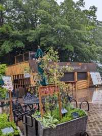 【雨の日で幻想的なハーブ園】神戸布引ハーブ園