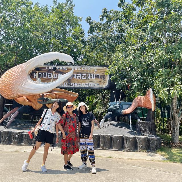 เที่ยวชมธรรมชาติ ท่าปอม คลองสองน้ำ