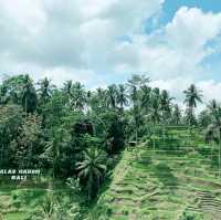 【バリ島】ライステラスへようこそ "Alas Harum Bali"