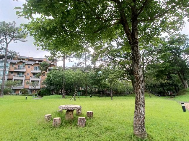 龍潭鄉 大平山公園 龍潭鄉 大平山公園