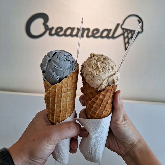 🍦 Delightful Ice Cream at Creameal!