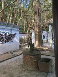 《台北》超過200年的絕美閩式四合院建築-林安泰古厝