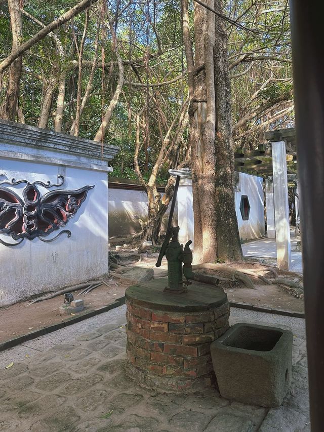 《台北》超過200年的絕美閩式四合院建築-林安泰古厝