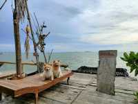 คาเฟ่บางแสน สไตล์ชาวเกาะ พาน้องหมาไปได้