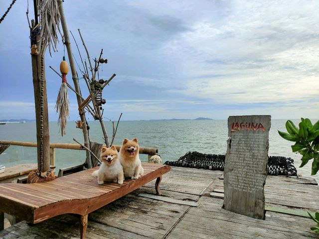 คาเฟ่บางแสน สไตล์ชาวเกาะ พาน้องหมาไปได้