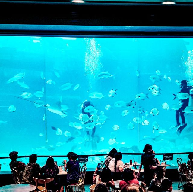 Ocean Park Experience in Cebu!