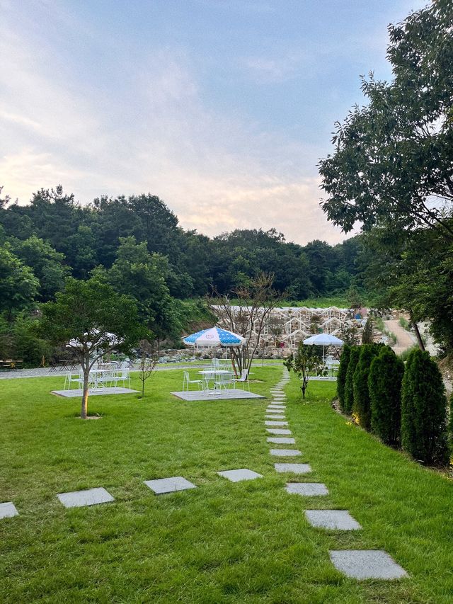 대구 근교 성주 대형 카페 ‘하우스 소서’🌳 + 🐶🐾