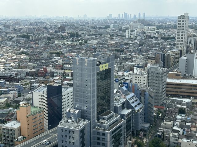 東京・三軒茶屋。無料で地上126mから都心や東京タワーの夜景も楽しめる『スカイキャロット展望ロビー』