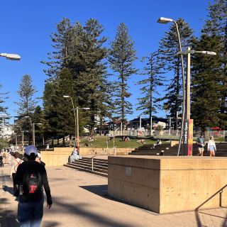 Sydney Beach Recommendations Dee Why Beach