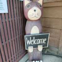 貓奴到打咭勝地