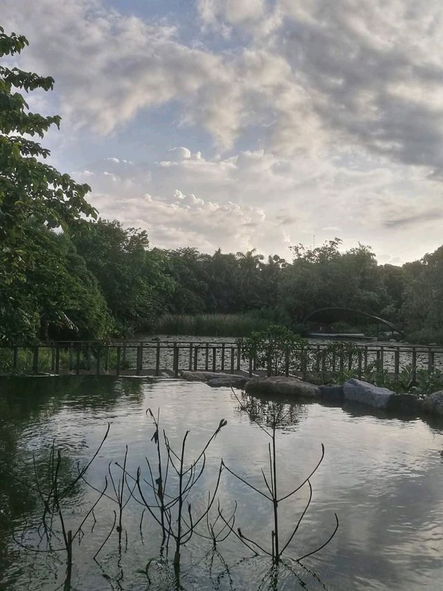 Kingfisher Lake At Gardens By The Bay