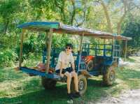 เที่ยวเมืองงอยเก่า สัมผัสชีวิตคนลาวเหนือ